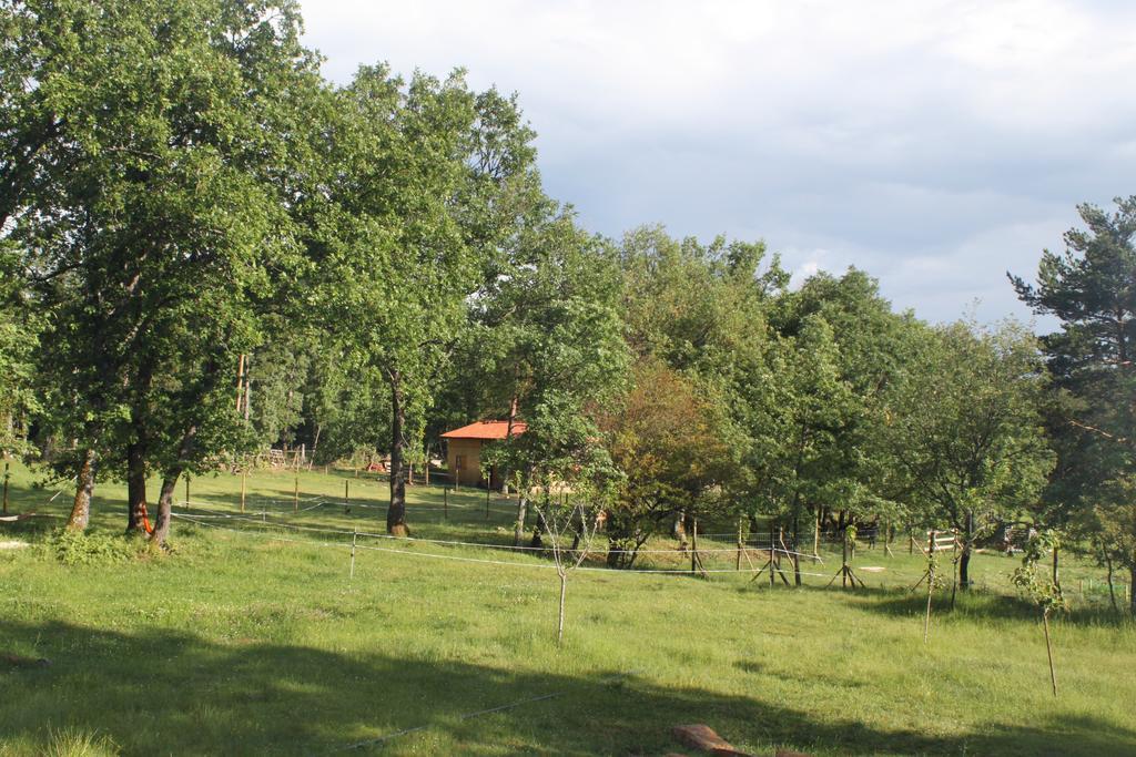 Eco Urbion Villa Duruelo de la Sierra Exterior photo